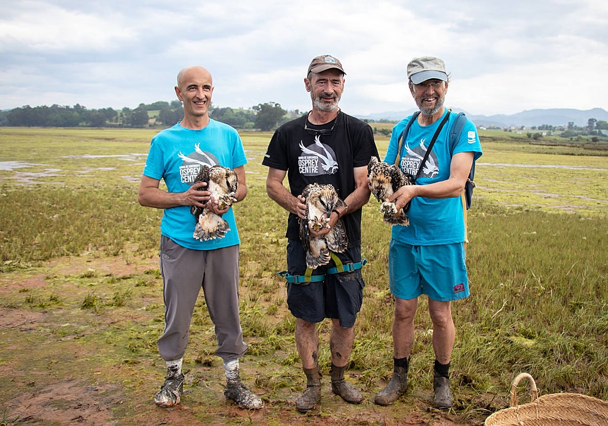 El naturalista Carlos Sainz, en el centro de la imagen, junto a dos voluntarios del Osprey Centre dedicado a la recuperación del Águila Pescadora, durante una sesión de anillamiento.