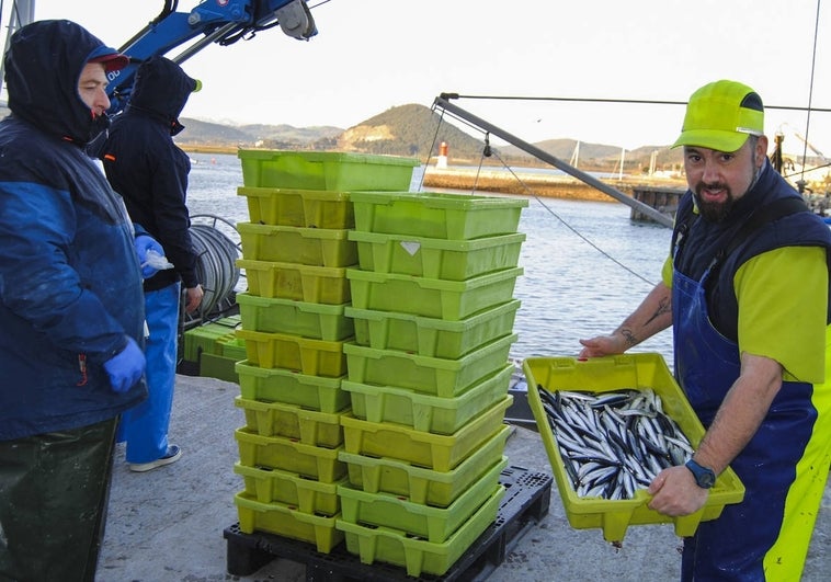 Dos pescadores del 'Siempre Landera' descargan los primeros kilos de bocarte.