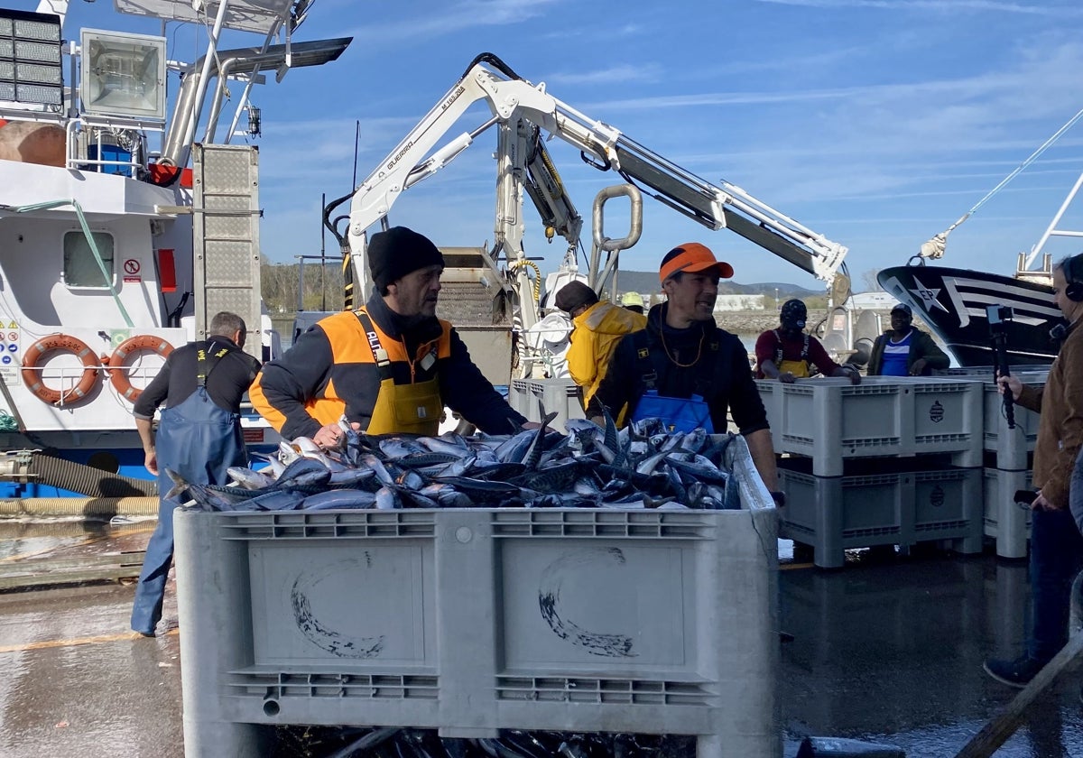 Los pescadores trasladan las capturas hasta la lonja de la Cofradía de San Ginés.