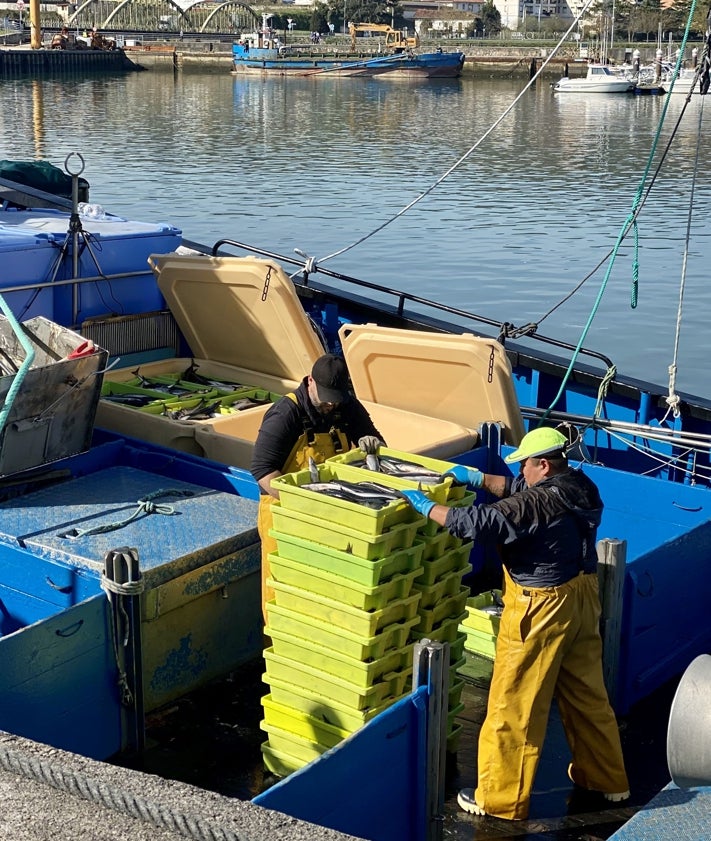 Imagen secundaria 2 - Los pescadores han descargado en la mañana de este viernes las capturas en Colindres.