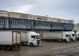 Varios camiones aparcados en la Ciudad del Transporte de Santander.