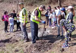 Primera jornada de la celebración del Día del Árbol en Los Corrales.