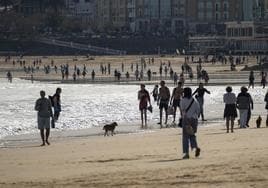 Santander reclama a Costas que actúe en el mantenimiento de las playas