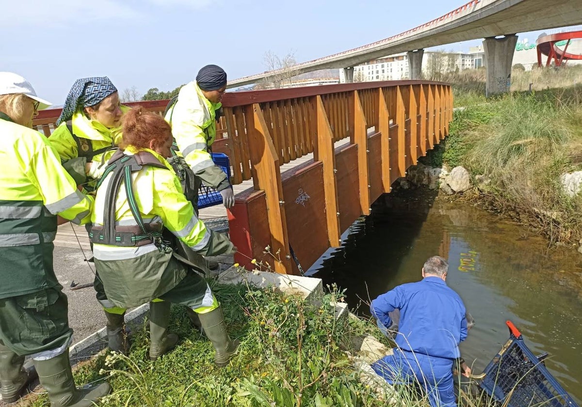 Trabajadores intentando sacar del arroyo un carrito de la compra.