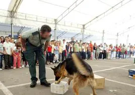 La Guardia Civil realiza una campaña contra el menudeo de droga en los institutos de Laredo y Colindres