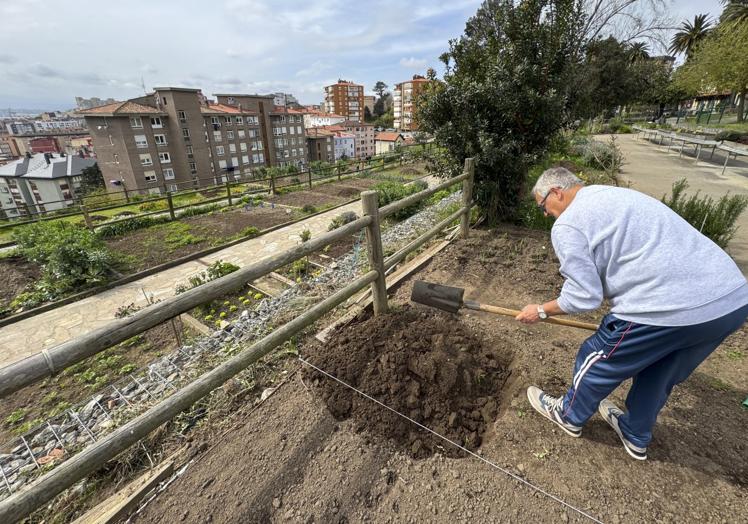 Un hombre acondiciona una de las parcelas.