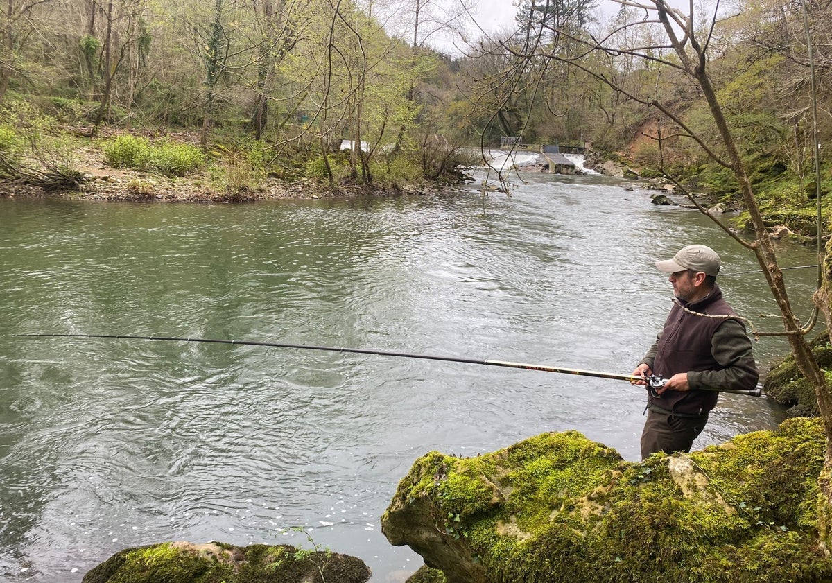 Imagen principal - Arriba, un pescador en el río Asón, abajo ambiente este domingo en el Pas.