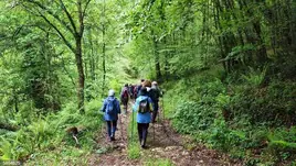 Tres rutas interpretativas esta primavera con Bosques de Cantabria