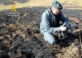Un agente de la Guardia Civil fotografía el terreno quemado por el incendio provocado en una de las fincas.