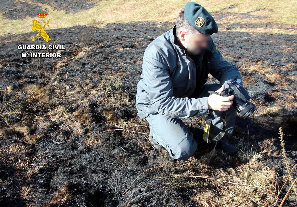 Un agente de la Guardia Civil fotografía el terreno quemado por el incendio provocado en una de las fincas.