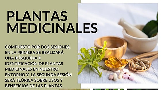 Plantas medicinales, bolo palma y vía ferrata en las actividades culturales de Herrerías