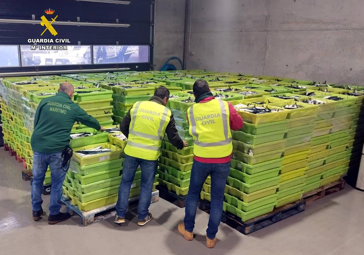 Las 484 cajas intervenidas y subastadas en el Puerto de Laredo.