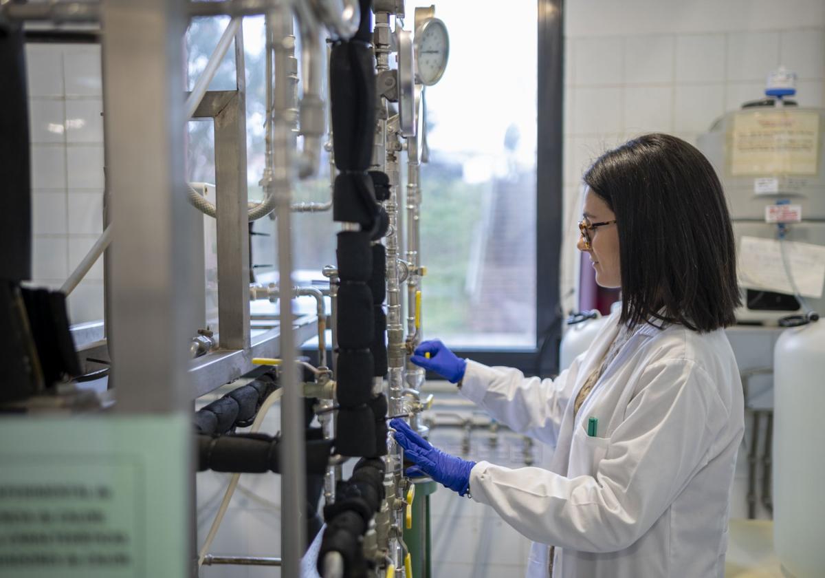 Una trabajadora en los laboratorios de la Universidad de Cantabria.