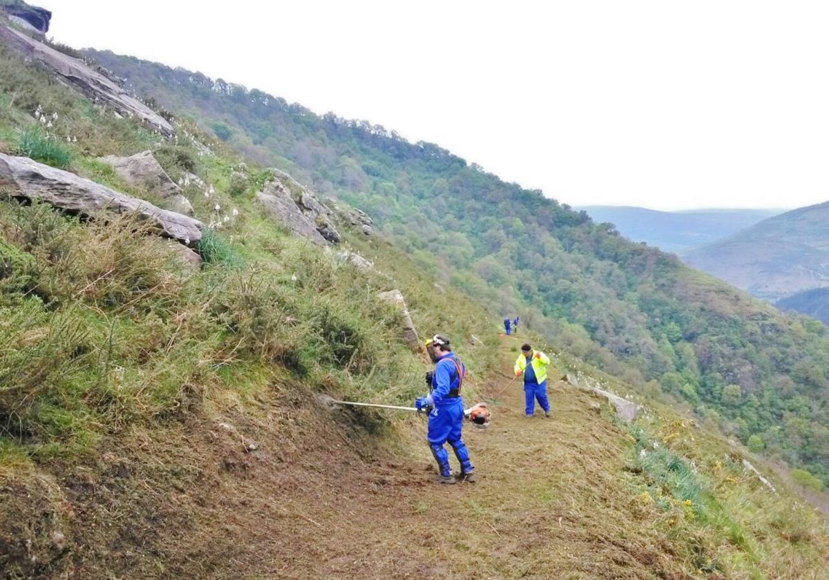 Operarios trabajan en el desbroce de montes en el municipio corraliego.