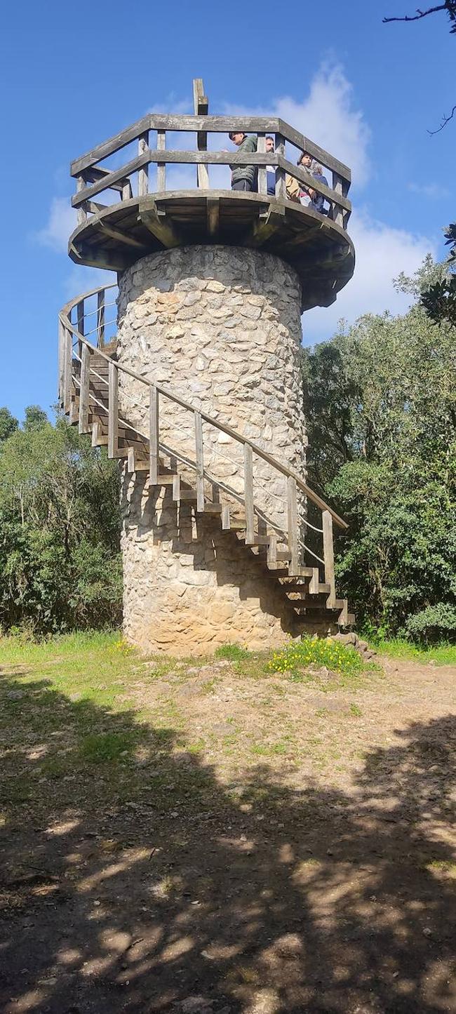 Torre del castro.