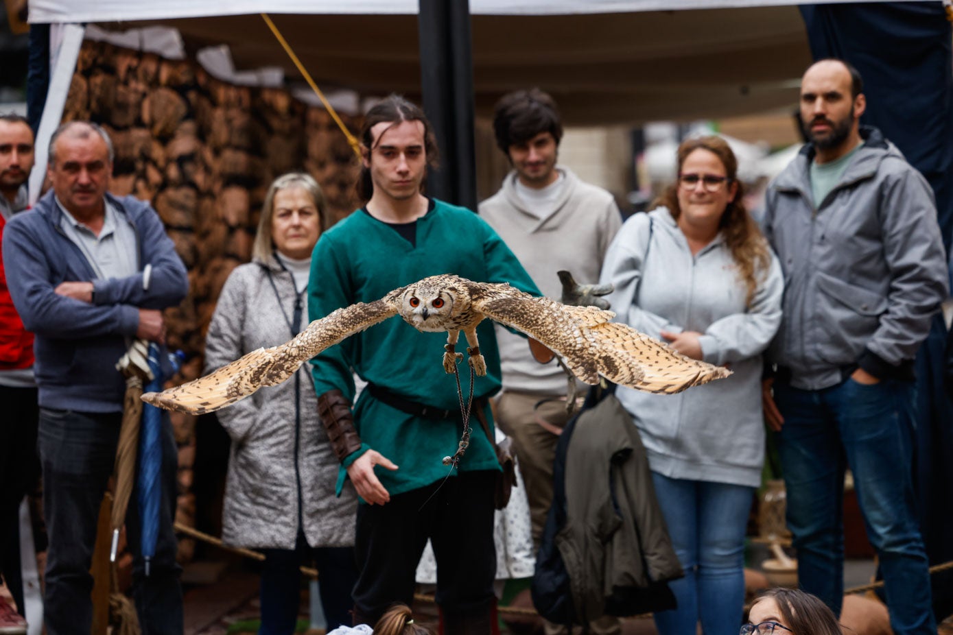 Un grupo de vecinos disfrutan del vuelo de un búho en la plaza Constitución. 