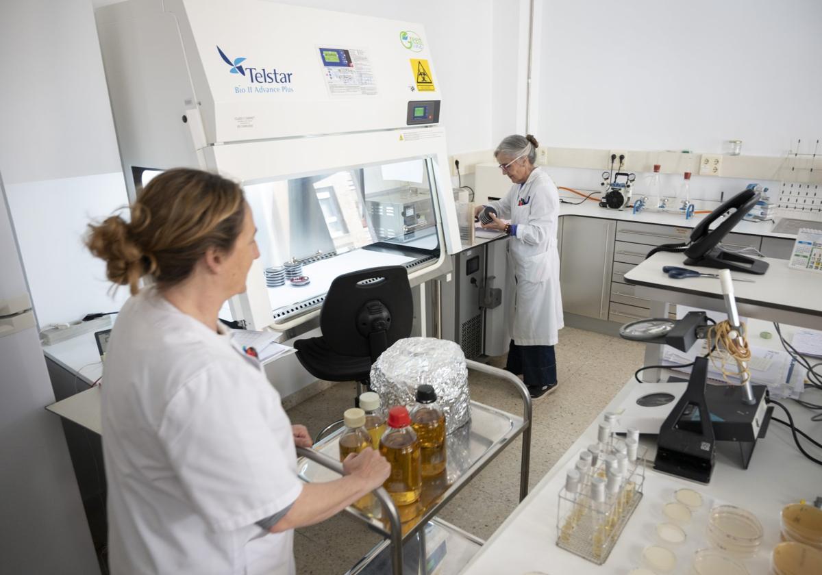 Personal del laboratorio de Salud Pública, durante la investigación de los alimentos servidos en la boda del brote de gastroenteritis.