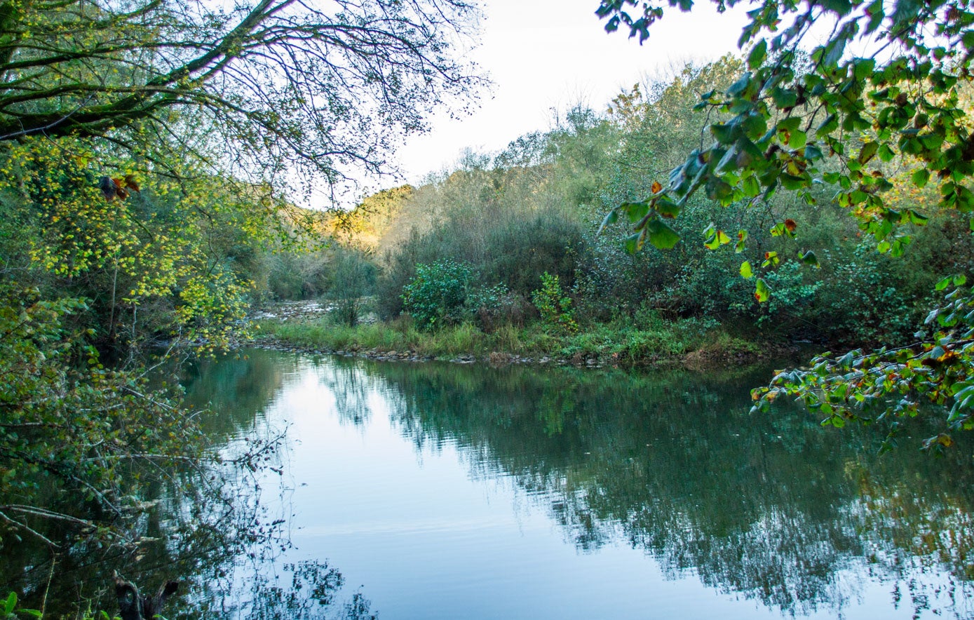 El río Nansa acompaña todo el rato en el camino, con tramos en los que va más tranquilo y otros con aguas un poco más rápidas.