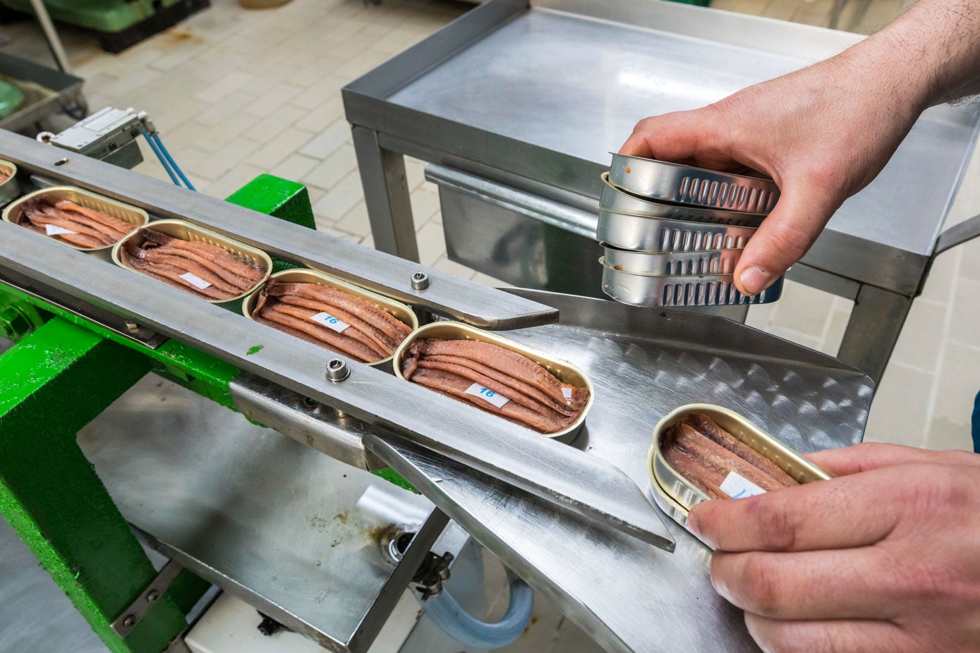 Las anchoas van numeradas en las latas