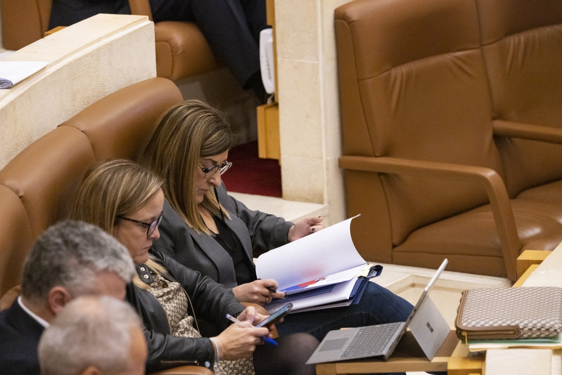 María José Sáenz de Buruaga repasa sus notas antes de su intervención en el Pleno de ayer.