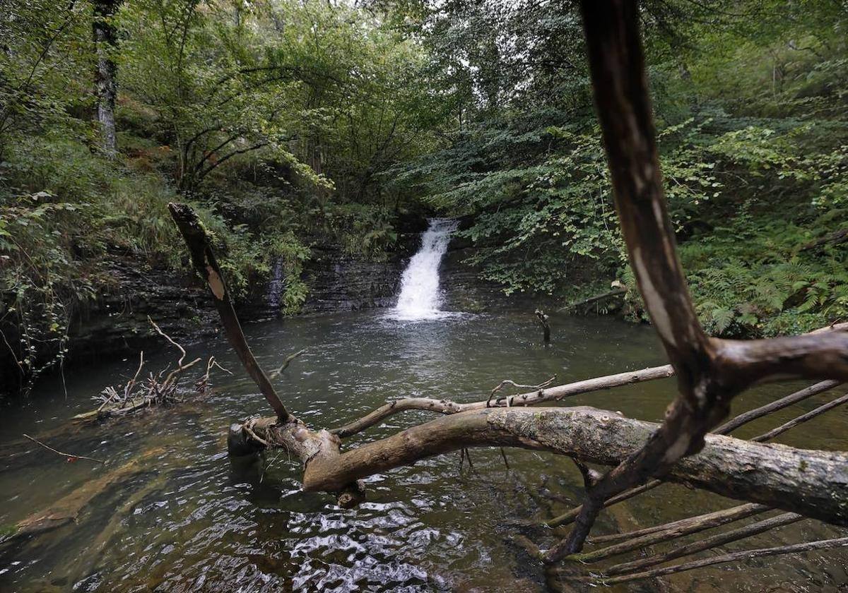 Cascadas de Lamiña, en la comarca cántabra de Saja-Nansa.