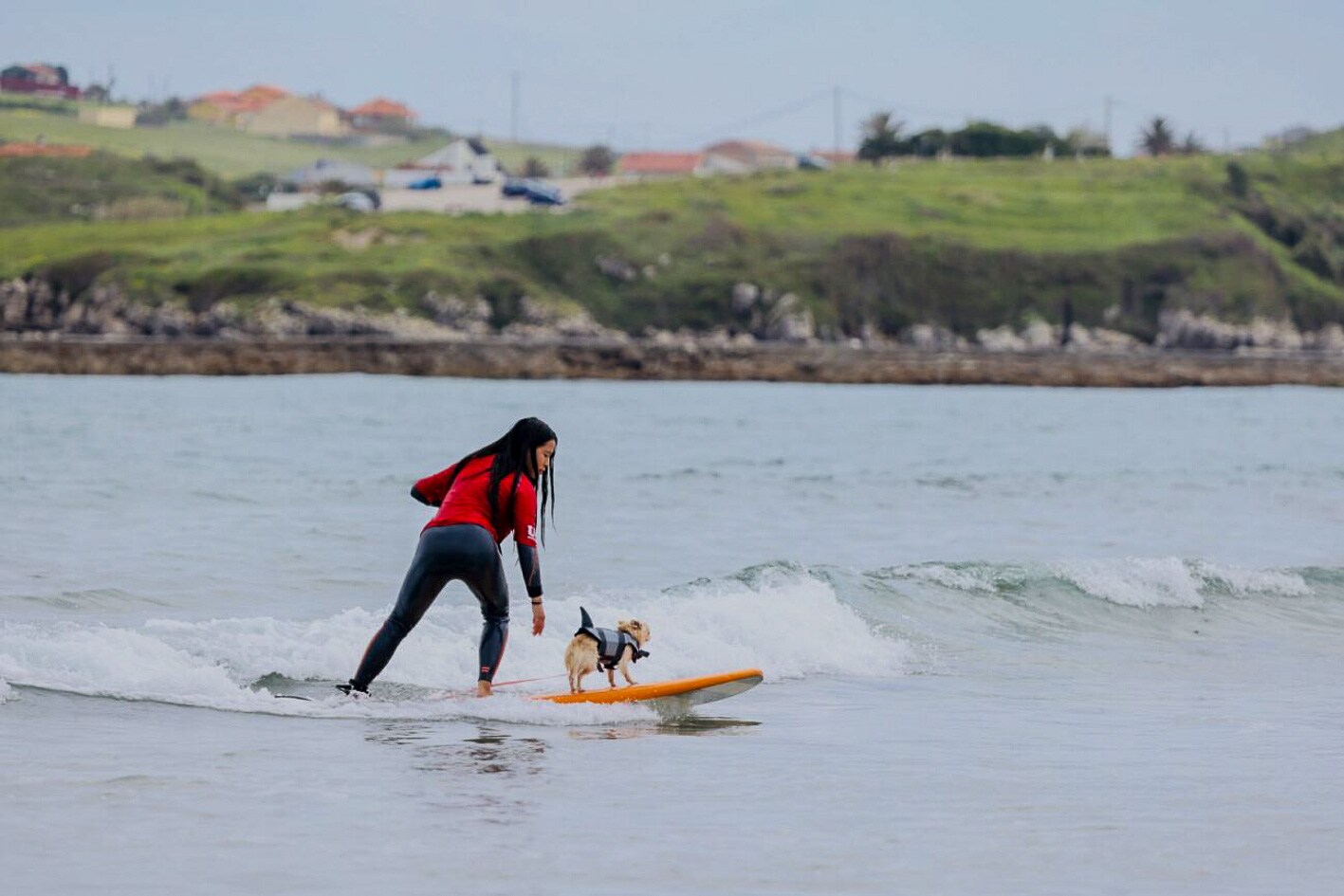 Perros y dueños cogen olas en el entrenamiento del Campeonato de Surf de  Suances | El Diario Montañés