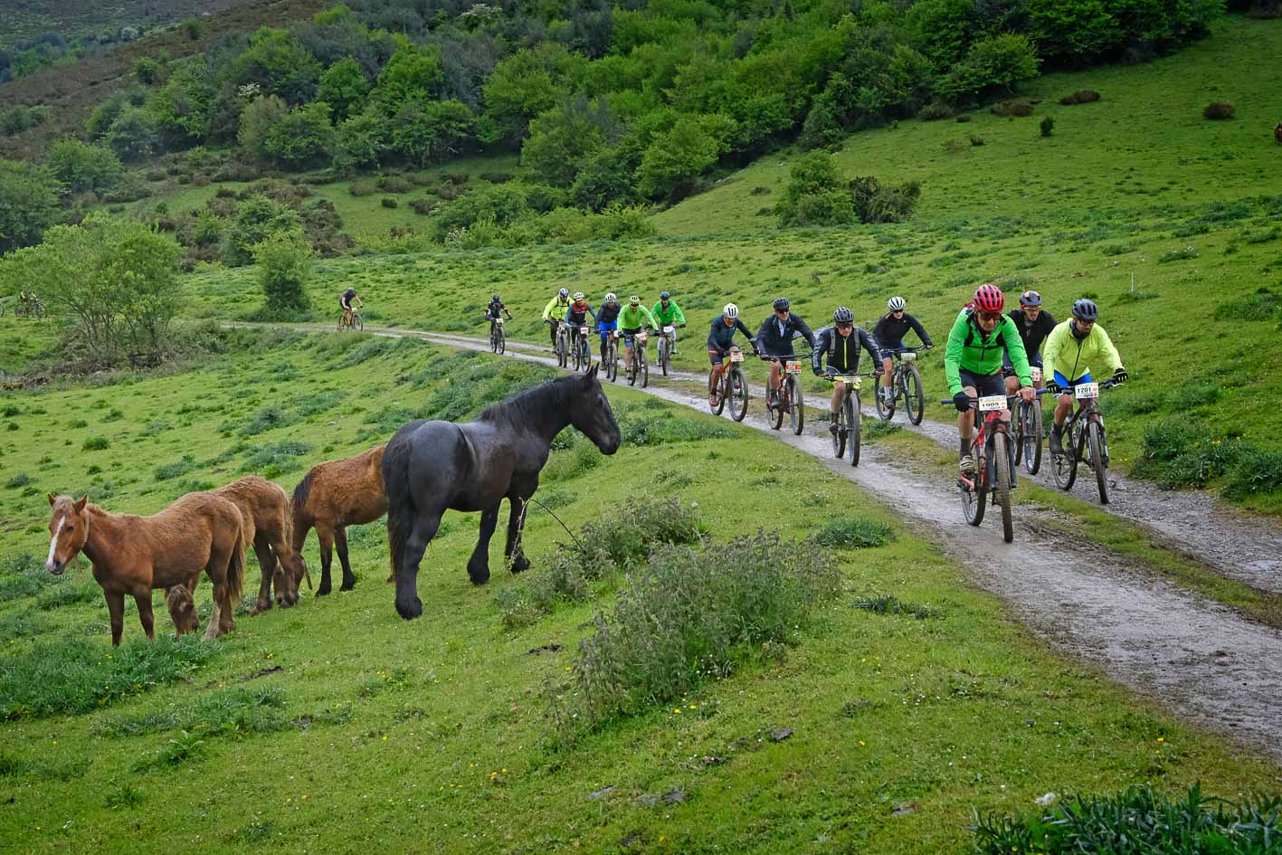 ¿Eres participante? Búscate en la ruta