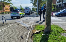 Árbol contra el que chocó su vehículo el conductor, a la altura del Rectorado de la Universidad de Cantabria.