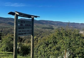 Ruta de ocho kilómetros entre árboles para llegar a los Cañones del Górgora