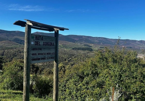 Ruta de ocho kilómetros entre árboles para llegar a los Cañones del Górgora