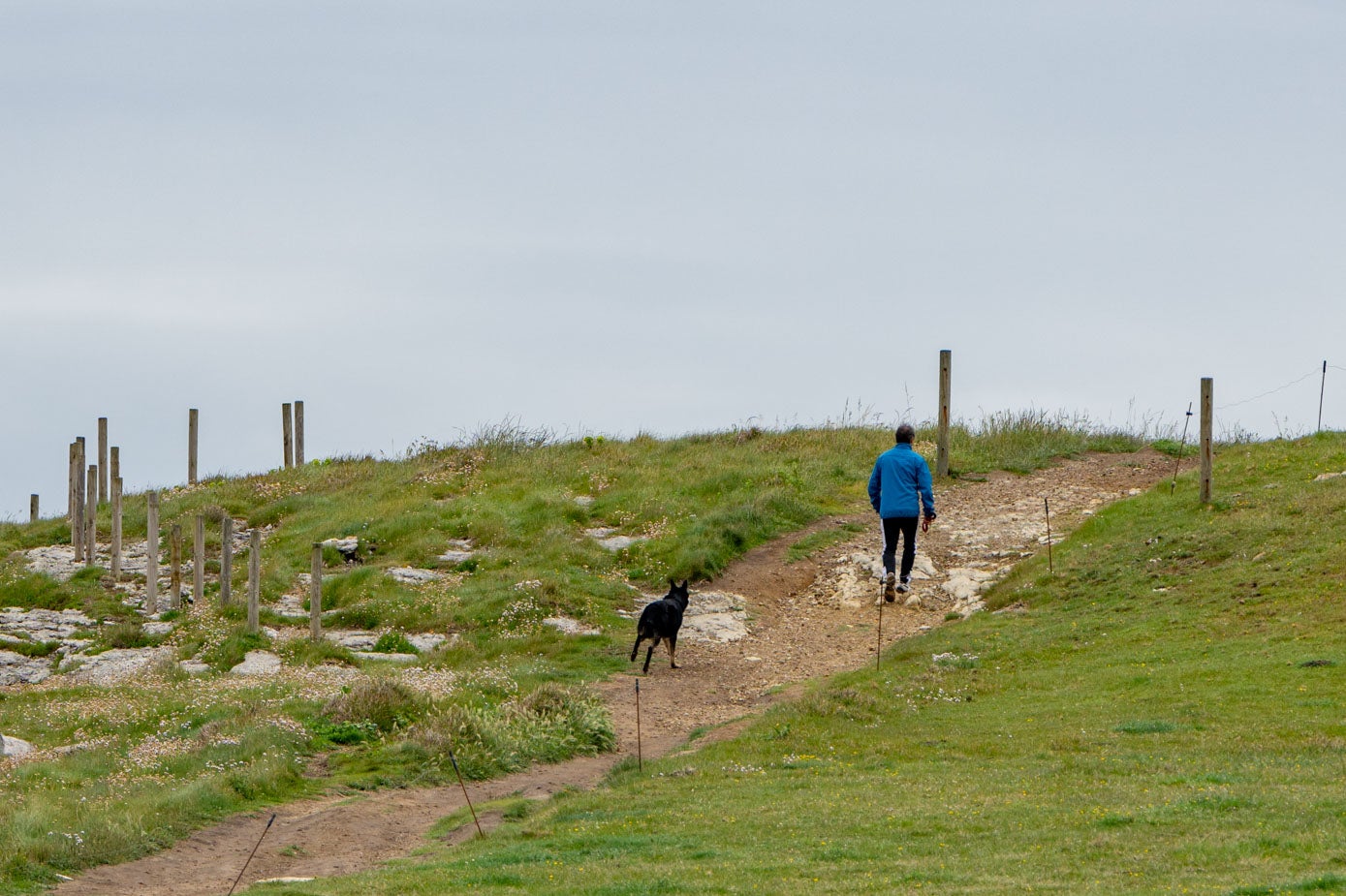 Un hombre pasea con su perro por la senda costera, entre postes de madera desperdigados junto al camino, sin orden concreto.