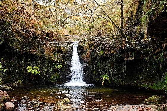 Un tesoro de agua dentro del bosque