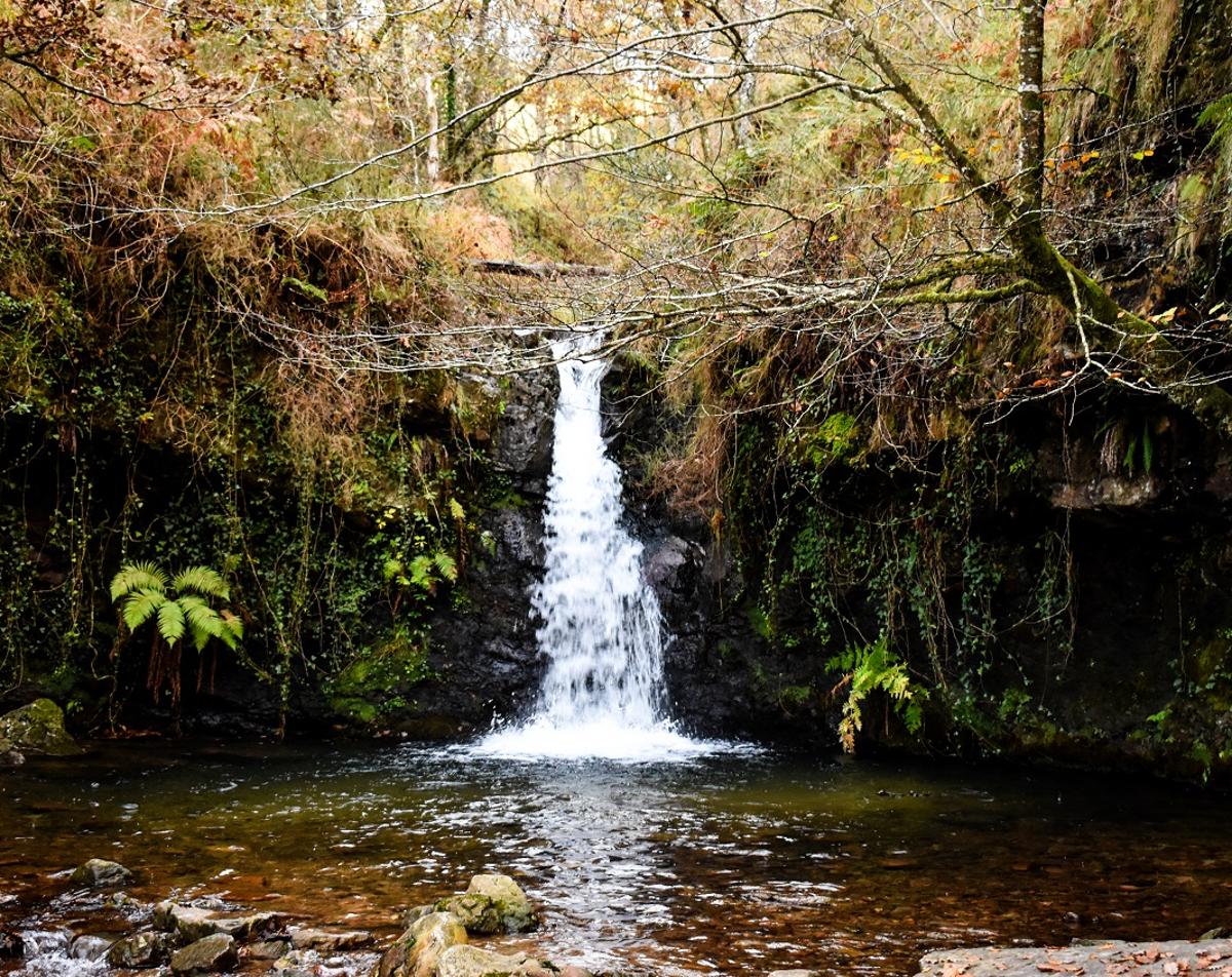 Un tesoro de agua dentro del bosque