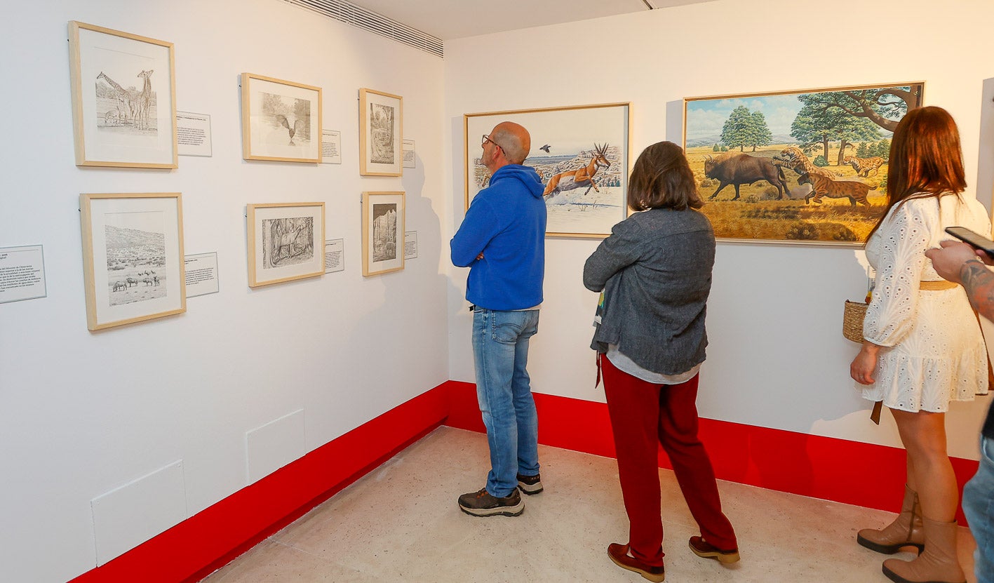 La exposición está compuesta por óleos y dibujos inéditos.