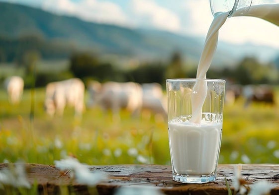 La OCU advierte una mejora general de la calidad de la leche.