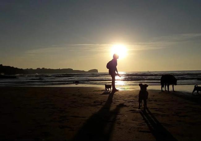 Una de las cinco playas de Miengo que permite el acceso de perros.