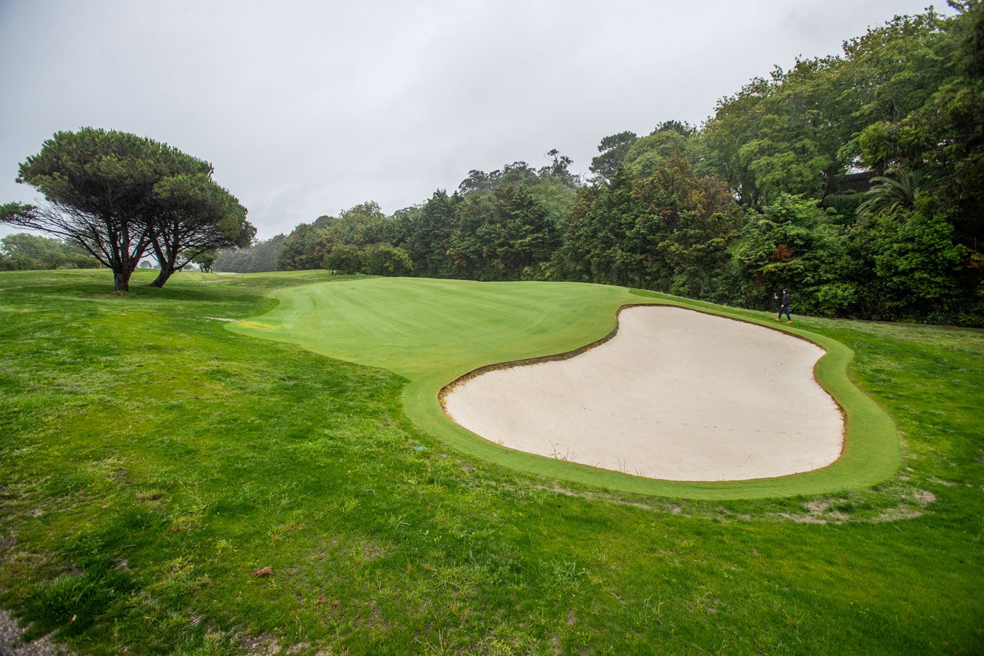 Los trabajos se han centrado en los greens, ate-greens y búnkers de las instalaciones.