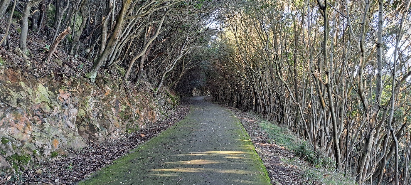 La pista por el monte termina y da paso a un recorrido, ya hasta el regreso al Fuerte San Martín, casi todo por asfalto. En algunas ocasiones se transitará por pistas de cemento.