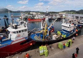 En el puerto de Santoña son varios los pesqueros que tendrán que instalar cámaras en su interior.