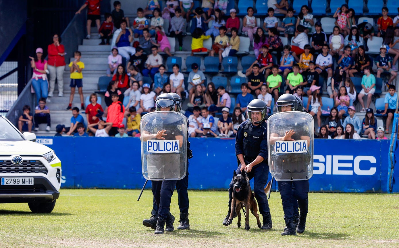 Además de pruebas concretas de agilidad, olfato o disciplina, los canes han demostrado que están entrenados para problemas de seguridad ciudadana.