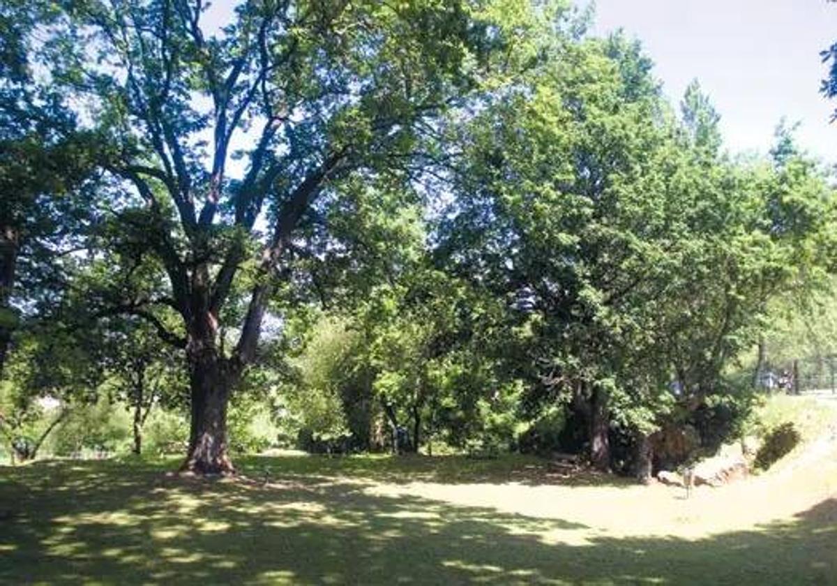 Un paseo por el jardín botánico de Liendo