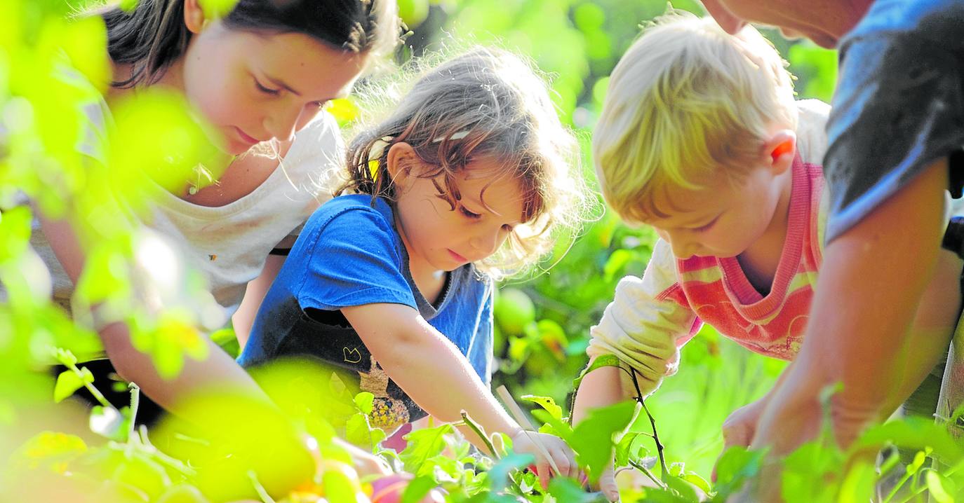 Varios niños participan en una actividad en una granja.