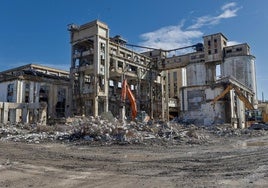 Trabajos de desmantelamiento del recinto industrial de Sniace, a finales de marzo.