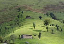 Paisaje tradicional de la Vega de Pas.