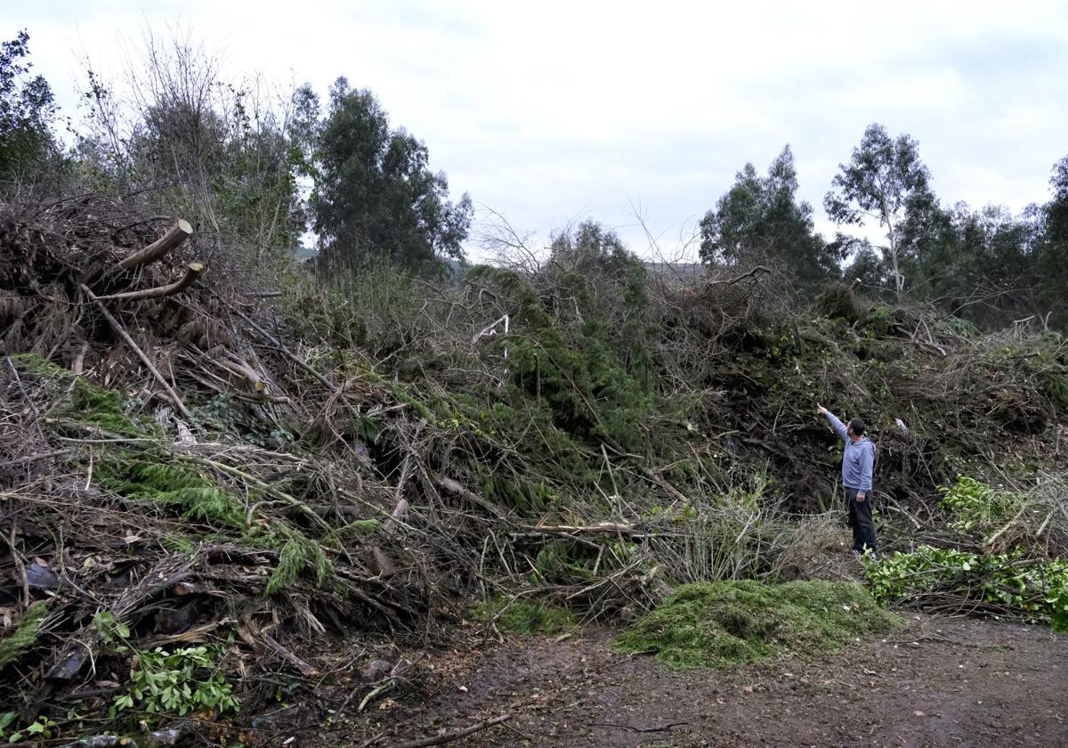 El concejal de Medio Ambiente, Iván Cuetos, señala la montaña de residuos verdes.