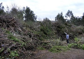 El concejal de Medio Ambiente, Iván Cuetos, señala la montaña de residuos verdes.