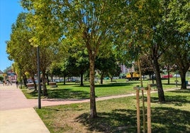 Zona verde del parque de la Cros donde está prevista la construcción de la pista.