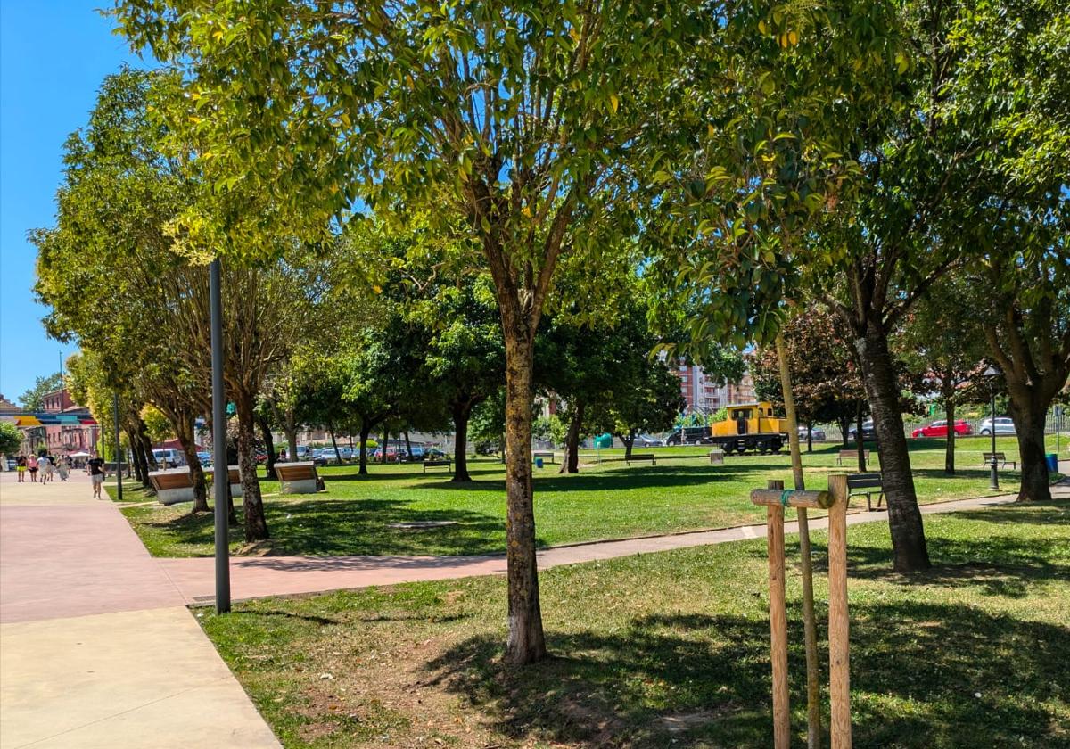 Zona verde del parque de la Cros donde está prevista la construcción de la pista.