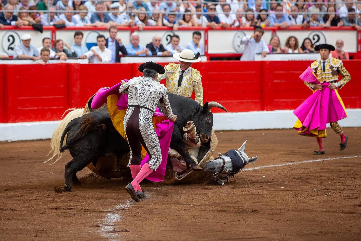 El toro derriba al caballo de picar