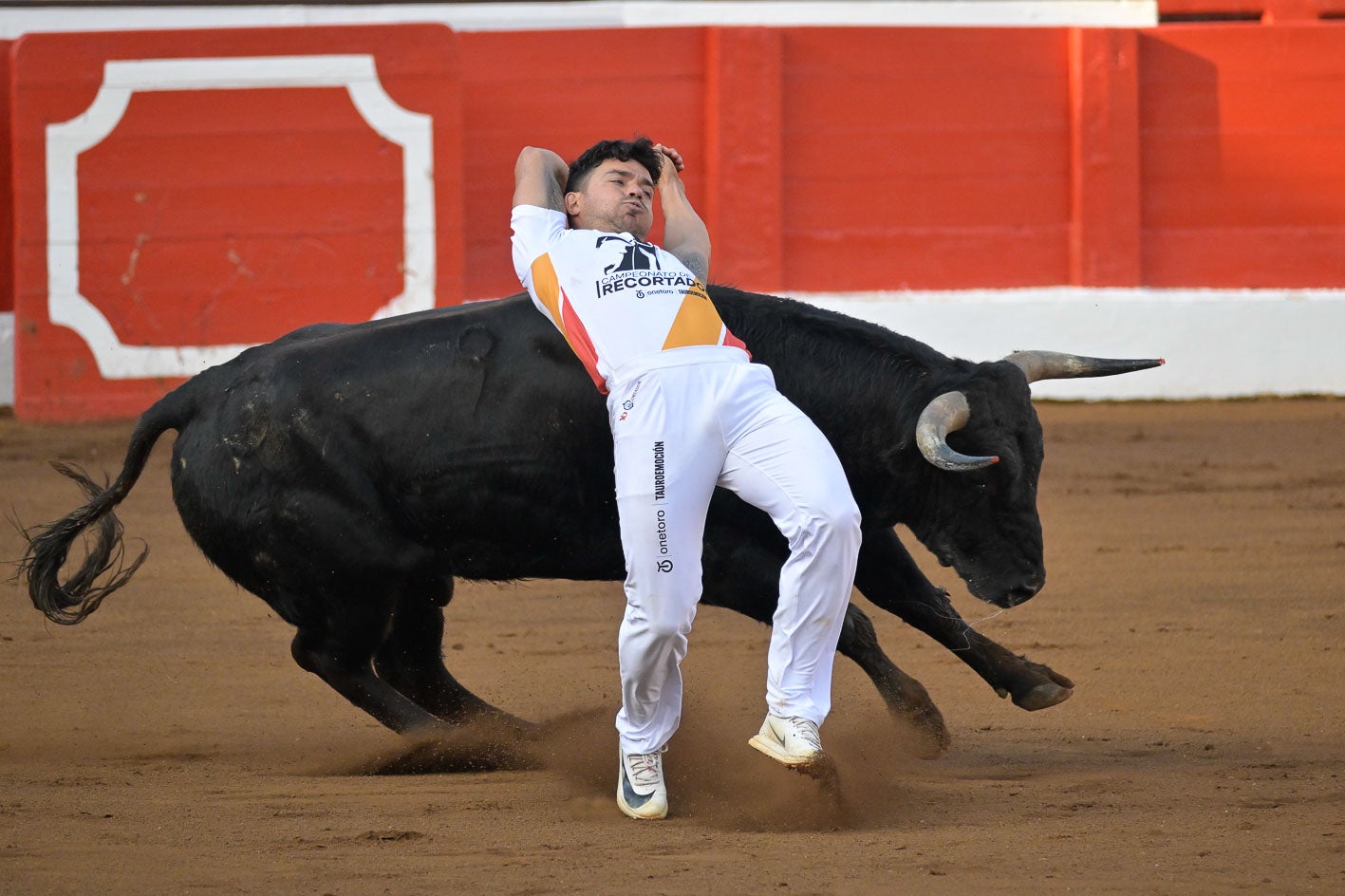 Si el toreo a pie consiste en parar, templar y mandar, el toreo a cuerpo limpio consiste en burlar las embestidas del oponente con los pitones lo más cerca posible